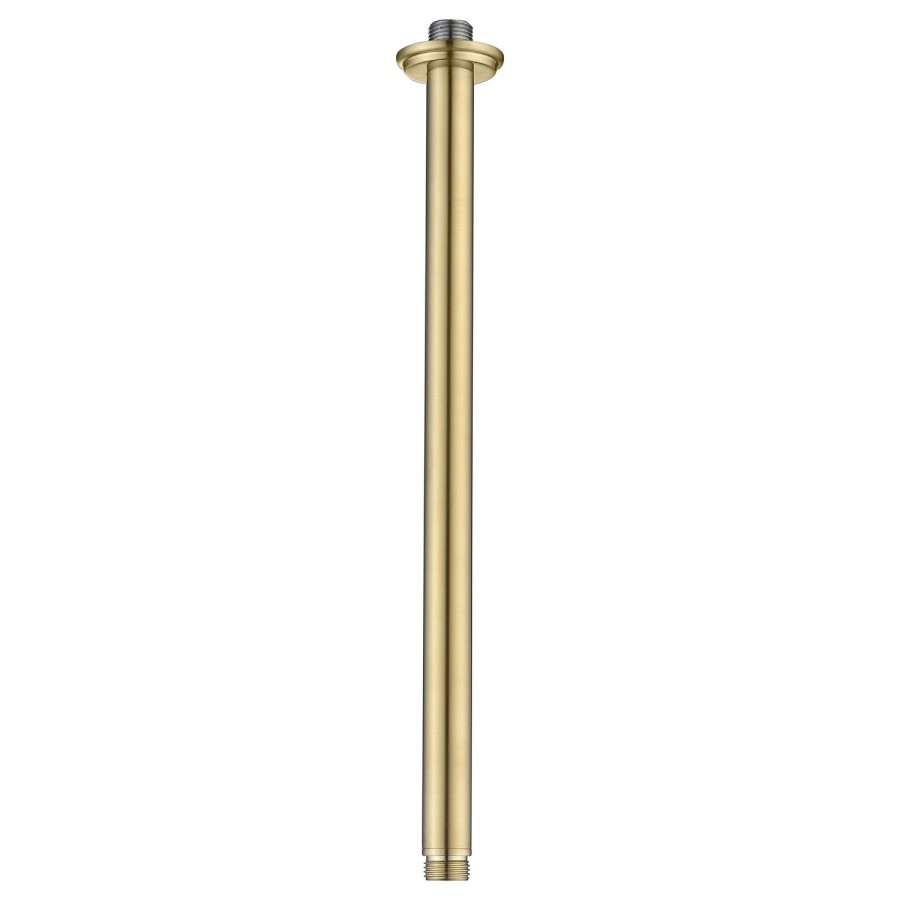 230mm Brushed Brass Traditional Shower Head with Ceiling Arm