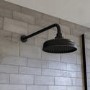 ONLY OPENED - BlackTraditional Shower Head & Wall Arm - Cambridge