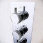 Chrome Dual  Outlet Ceiling Mounted Thermostatic Mixer Shower with Hand Shower - Axel