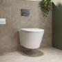 Wall Hung Toilet with Soft Close Seat Chrome Pneumatic Flush Plate 820mm Frame & Cistern - Newport