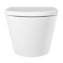 Wall Hung Rimless Toilet with Soft Close Seat, Brushed Brass Mechanical Flush Plate, 1168mm Frame & Cistern – Newport