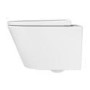 Wall Hung Rimless Short Projection Toilet with Soft Close Seat – Newport