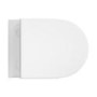 Wall Hung Rimless Short Projection Toilet with Soft Close Seat – Newport