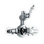 Traditional Twin Exposed Shower Valve