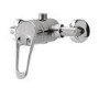 Concealed Or Exposed Shower Valve