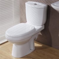 Cosmo Toilet and Seat