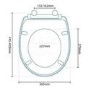 Paris Wall Hung Toilet and Seat
