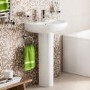 Micro Basin and Pedestal 