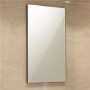 Apex Walnut Mirror 700H 400W
