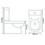 Hallmoor Close Coupled Toilet and Seat