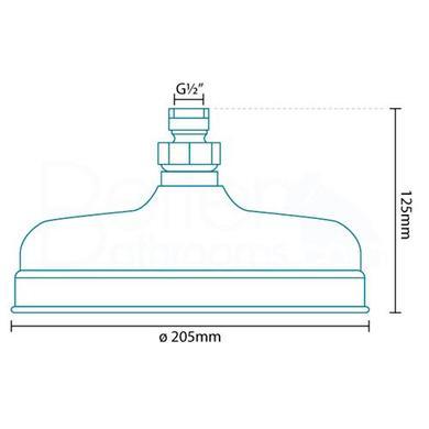 Fixed 200mm Apron Shower Head & Ceiling Arm 