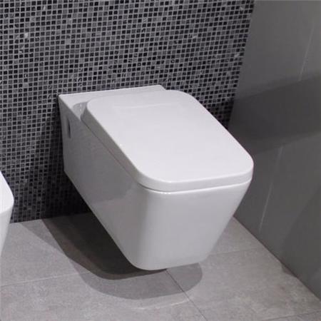 Bali Wall Mounted Toilet
