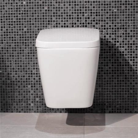 Bali Wall Mounted Toilet
