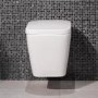 Bali Wall Mounted Toilet