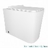 Bali Back to Wall Toilet with  Square Thin Seat