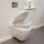 Aurora Wall Hung Toilet