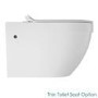 Aurora Wall Hung Toilet
