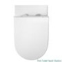 Aurora Wall Hung Toilet