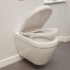 Wall Hung Toilet with Standard Seat - Aurora Range