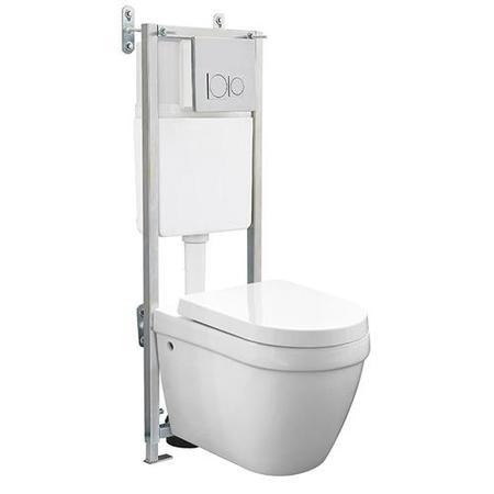 Wall Hung frame with Aurora toilet