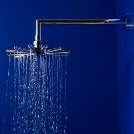Star Shower Head and Wall Arm