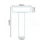 Ravenna Basin and Full Pedestal