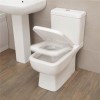 Carona Toilet and Soft Close Seat with Pan Connector