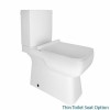 Carona Toilet and Soft Close Seat with Pan Connector