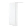760 x 2000mm Wet Room Screen with 250mm Return Panel 10mm Glass - Trinity