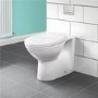 Back to Wall Toilet with Dual Flush Concealed Cistern - Tampa Range