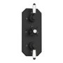 Black 2 Outlet  Wall Mounted Thermostatic Mixer Shower Set with Hand Shower - Cambridge