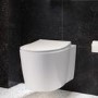 Wall Hung Toilet with Soft Close Toilet Seat, Brushed Bronze Pneumatic Flush Plate, 1168mm Frame & Cistern - Alcor