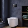 Wall Hung Toilet with Soft Close Seat, Gunmetal Pneumatic Flush Plate, 1168mm Frame & Cistern - Roma