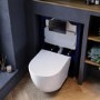 Wall Hung Toilet with Soft Close Seat, Gunmetal Pneumatic Flush Plate, 820mm Frame & Cistern - Roma