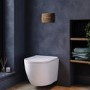 Wall Hung Toilet with Soft Close Seat, Brushed Bronze Pneumatic Flush Plate, 1168mm Frame & Cistern - Roma