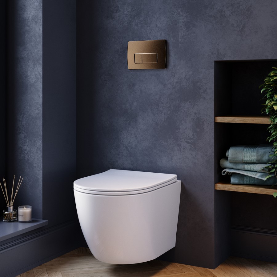 Wall Hung Toilet with Soft Close Seat, Brushed Bronze Pneumatic Flush Plate, 1168mm Frame & Cistern - Roma
