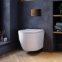 Wall Hung Toilet with Soft Close Seat, Brushed Bronze Pneumatic Flush Plate, 820mm Frame & Cistern - Roma