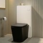Black Back to Wall Toilet with White Glass Cabinet, Cistern & Pneumatic Dual Flush Button - Albi
