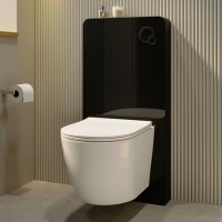 Wall Hung Toilet with Black Glass Cabinet, Cistern & Pneumatic Dual Flush Button - Albi