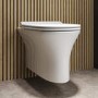 Wall Hung Rimless Toilet with Soft Close Seat - Indiana