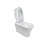 Indiana Wall Hung Toilet 1160mm Pneumatic Frame & Cistern & Black Flush Plate