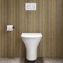 ONLY OPENED - Indiana Wall Hung Toilet 1160mm Pneumatic Frame & Cistern & White Glass Flush Plate