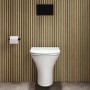 Wall Hung Rimless Toilet with Soft Close Seat, Black Mechanical Flush Plate, 1168mm Frame & Cistern – Indiana