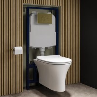 Indiana Wall Hung Toilet 1160mm Mechanical WC Frame & Cistern & Brushed Brass Mechanical Flush Plate Indiana Wall Hung Toilet 1160mm Mechanical WC Frame & Cistern & Brushed Brass Mechanical Flush Plate