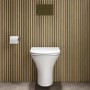 Wall Hung Rimless Toilet with Soft Close Seat, Brushed Brass Mechanical Flush Plate, 1168mm Frame & Cistern – Indiana