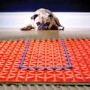 2sqm DCM Pro Electric Underfloor Heating Kit with Tempo Thermostat - Warmup