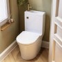 Close Coupled Open Back Toilet with Sink on Top & Brass Fittings - Legend