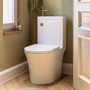 Close Coupled Open Back Toilet with Sink on Top & Brass Fittings Cloakroom Suite - Legend