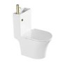 Close Coupled Open Back Toilet with Sink on Top & Brass Fittings - Legend