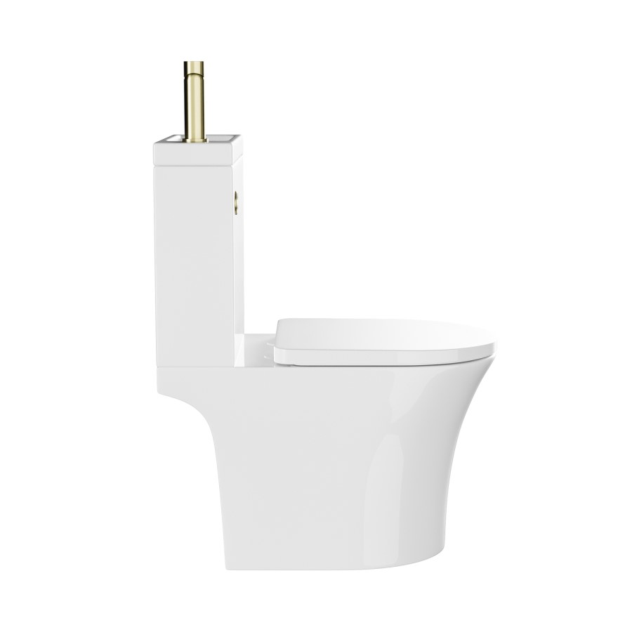 Close Coupled Open Back Toilet with Sink on Top & Brass Fittings - Legend